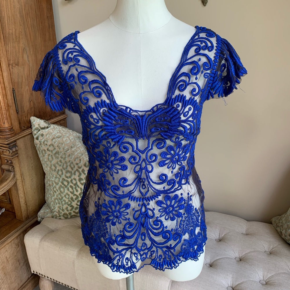 Baraschi Sheer Royal Blue Embroidered Blouse